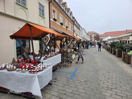 Martinov sejem v Lotmerki (7)